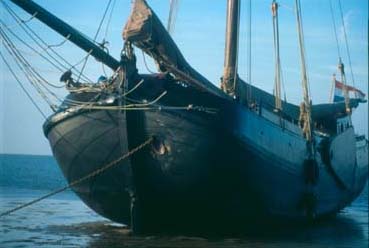 De Vlieter, trockenfallen bei Niedrigwasser Trockenfallen bei Ebbe